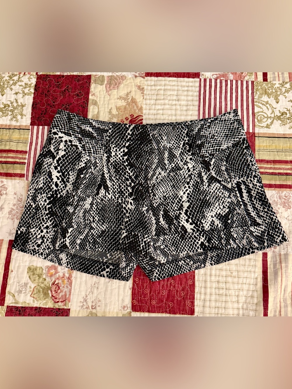 Express Snake Print Women’s Shorts - Size 2